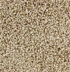 Ковролин Edel Charisma 132 фото 1 | FLOORDEALER