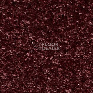 Ковролин AW Gala Equator 19 фото 1 | FLOORDEALER