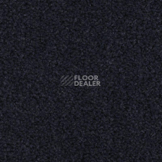 Ковролин Balsan Les Best S 999 фото 1 | FLOORDEALER