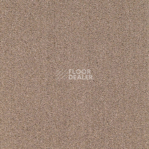 Ковролин ITC Solid Solid 66 фото 1 | FLOORDEALER