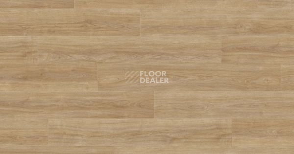 Ламинат Haro Tritty 200 Aqua 4V ДУБ ЭЛЕГАНЗА ПУРО 541558 фото 1 | FLOORDEALER