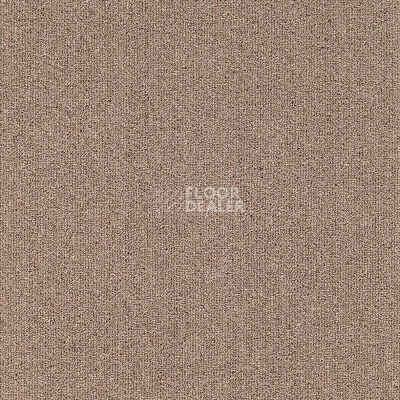 Ковролин ITC Solid Solid 66 фото 1 | FLOORDEALER