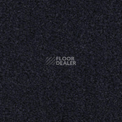 Ковролин Balsan Les Best S 999 фото 1 | FLOORDEALER