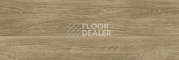 Керамогранит Forest 31 X 93 Atlas Beige фото 1 | FLOORDEALER
