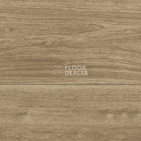 Керамогранит Forest 31 X 93 Atlas Beige фото 1 | FLOORDEALER