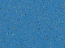 Линолеум Polyflor Polysafe Ecomax 4627 Starflower фото 1 | FLOORDEALER