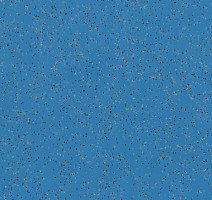 Линолеум Polyflor Polysafe Ecomax 4627 Starflower фото 1 | FLOORDEALER