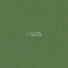 Линолеум Tarkett iq Melodia 2639 фото 1 | FLOORDEALER