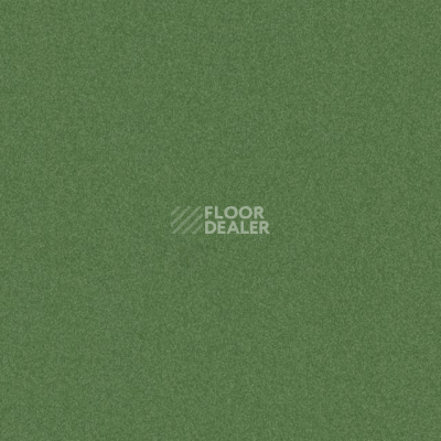 Линолеум Tarkett iq Melodia 2639 фото 1 | FLOORDEALER