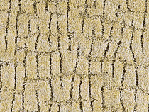 Balta ITC Elton 024 фото 1 | FLOORDEALER