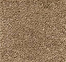 Ковролин Emphatic Beaulieu of America 56741 фото 1 | FLOORDEALER