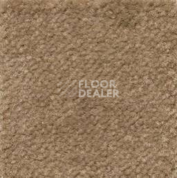 Ковролин Emphatic Beaulieu of America 56741 фото 1 | FLOORDEALER