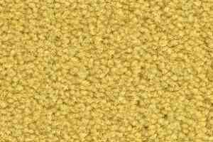 Ковролин Balsan Les Best III Les Best III 353 фото  | FLOORDEALER