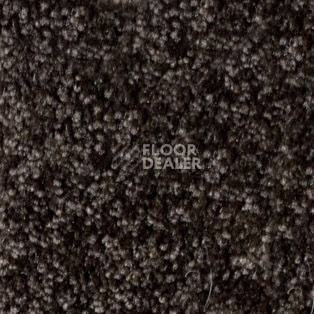Ковролин AW Silence 45 фото 1 | FLOORDEALER