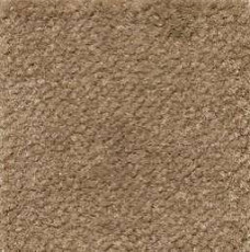 Ковролин Emphatic Beaulieu of America 56741 фото 1 | FLOORDEALER