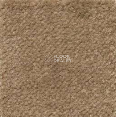 Ковролин Emphatic Beaulieu of America 56741 фото 1 | FLOORDEALER