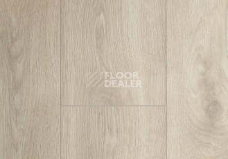 Ламинат My Floor Residence 10мм ml1018 Дуб Макро Бежевый фото 1 | FLOORDEALER