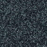 Ковролин Balsan First Class 970 фото 1 | FLOORDEALER