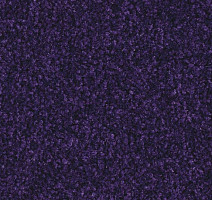 Ковролин Balsan Scenario 895 фото 1 | FLOORDEALER