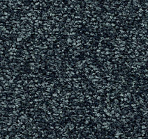 Ковролин Balsan First Class 970 фото 1 | FLOORDEALER