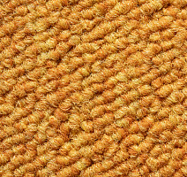 Desso Essence 5420 фото 2 | FLOORDEALER