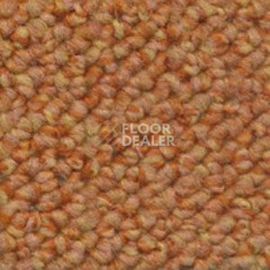 Ковролин Dura Loop 331 фото 1 | FLOORDEALER