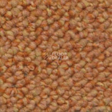 Ковролин Dura Loop 331 фото 1 | FLOORDEALER