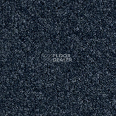Ковровая плитка Balsan Bolero 990 фото 1 | FLOORDEALER