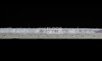 Forbo Flotex Colour Calgary 50*50 t590019 Calgary Carbon фото 3 | FLOORDEALER