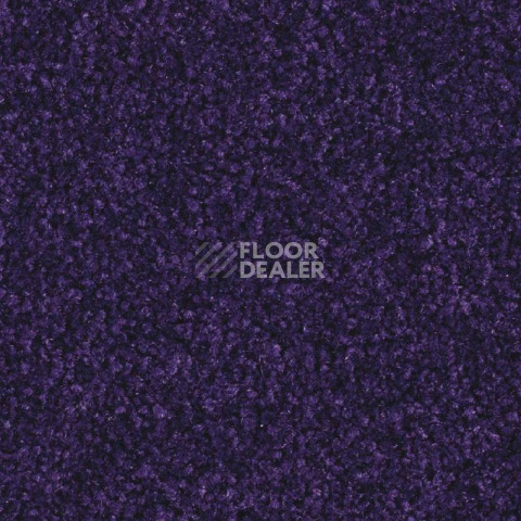 Ковролин Balsan Scenario 895 фото 1 | FLOORDEALER