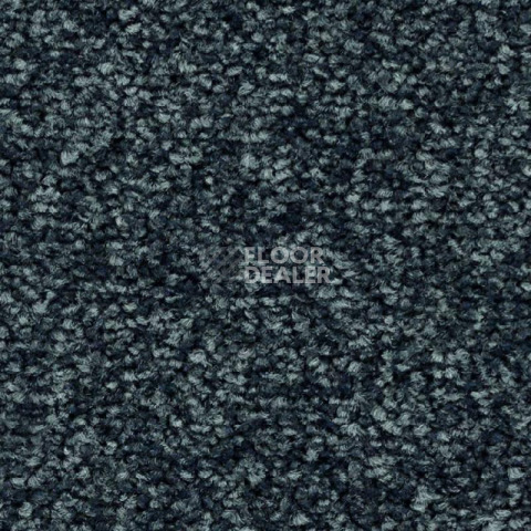 Ковролин Balsan First Class 970 фото 1 | FLOORDEALER