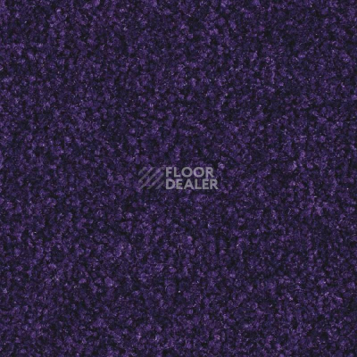 Ковролин Balsan Scenario 895 фото 1 | FLOORDEALER