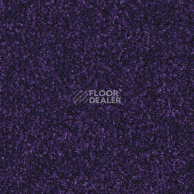 Ковролин Balsan Scenario 895 фото 1 | FLOORDEALER