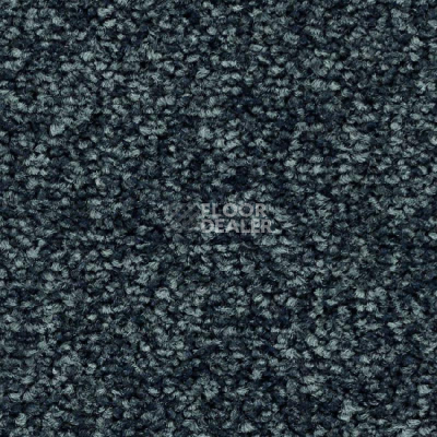 Ковролин Balsan First Class 970 фото 1 | FLOORDEALER