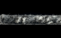 Forbo Coral Classic 4701 anthracite фото 4 | FLOORDEALER