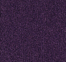 Ковролин Balsan Les Best S 899 фото 1 | FLOORDEALER