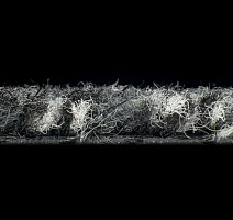 Forbo Coral Classic 4701 anthracite фото 4 | FLOORDEALER