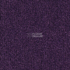 Ковролин Balsan Les Best S 899 фото 1 | FLOORDEALER