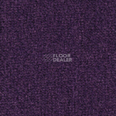 Ковролин Balsan Les Best S 899 фото 1 | FLOORDEALER