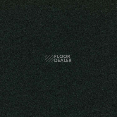 Ковролин Finett Feinwerk 603511 фото 1 | FLOORDEALER