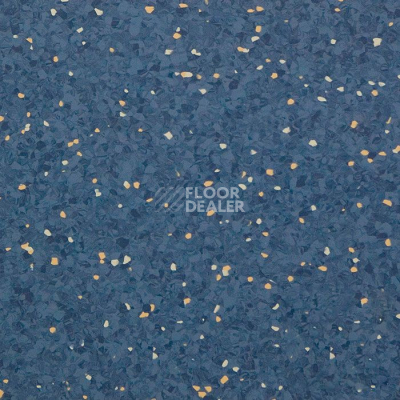 Линолеум Tarkett iQ Aria CARII-666 фото 1 | FLOORDEALER