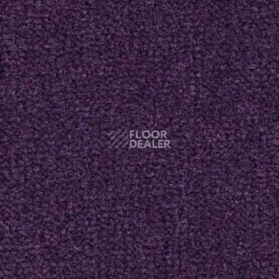 Ковролин Balsan Les Best S 899 фото 1 | FLOORDEALER