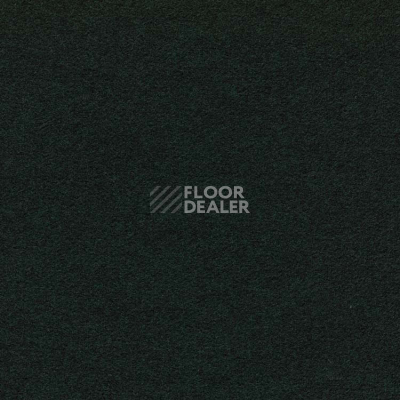 Ковролин Finett Feinwerk 603511 фото 1 | FLOORDEALER
