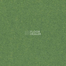 Ковролин Finett Feinwerk 603504 фото 1 | FLOORDEALER