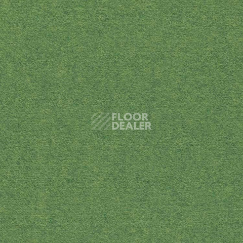 Ковролин Finett Feinwerk 603504 фото 1 | FLOORDEALER