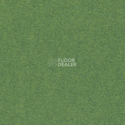 Ковролин Finett Feinwerk 603504 фото 1 | FLOORDEALER