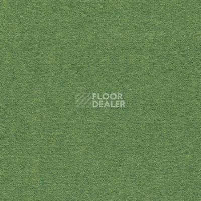 Ковролин Finett Feinwerk 603504 фото 1 | FLOORDEALER