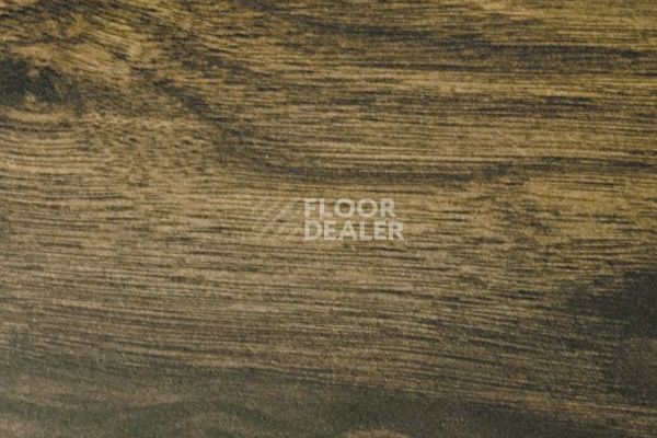 Ламинат Clix Floor Charm Орех Элегант CXC156 фото 1 | FLOORDEALER