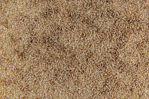 Flotex Colour Calgary 50*50 t 590007 Calgary Suede фото 2 | FLOORDEALER