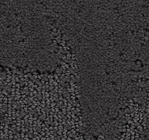 Ковролин Balsan Monaco 960 фото 1 | FLOORDEALER